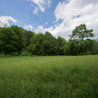 Land for sale - Jay Goslee Sells Middle TN - Blog
